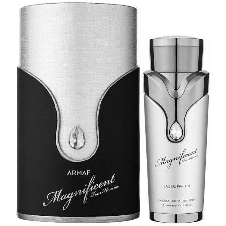 Чоловіча парфумована вода Armaf Magnificent Pour Homme 100 ml – дерево-пряний аромат